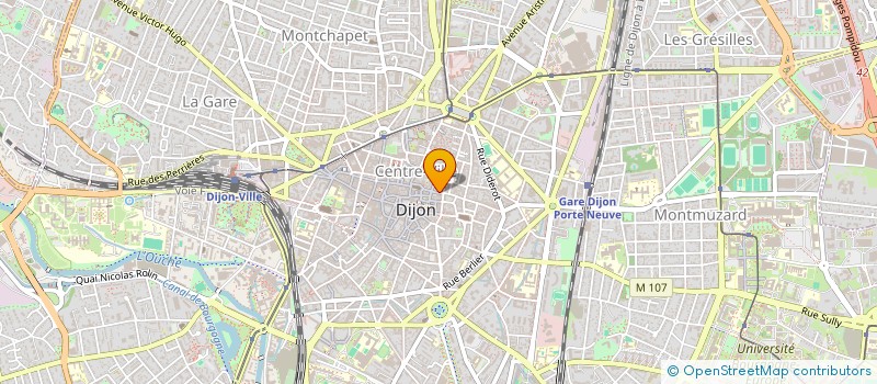 localisation de l'entreprise RUAB  DIJON