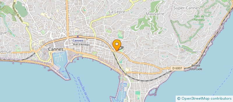 localisation de l'entreprise RUBYSERVICES à CANNES