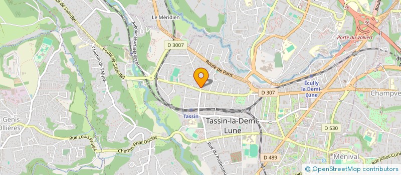 localisation de l'entreprise RUE DE GRIES  TASSIN-LA-DEMI-LUNE