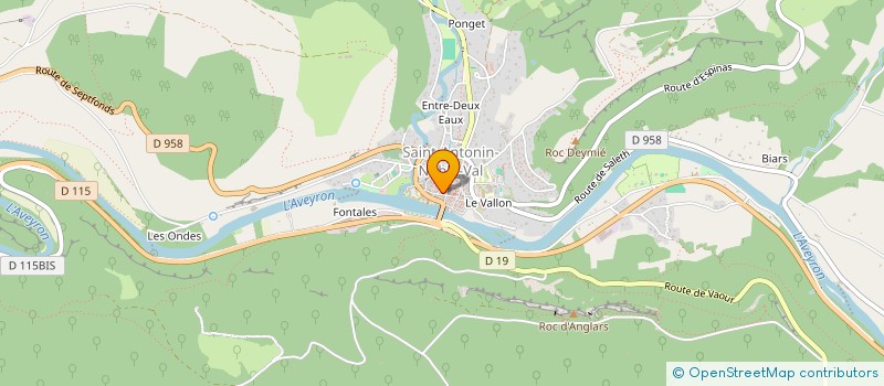 localisation de l'entreprise RUE DE L'EGLISE SAINT ANTONIN NOBLE VAL  SAINT-ANTONIN-NOBLE-VAL