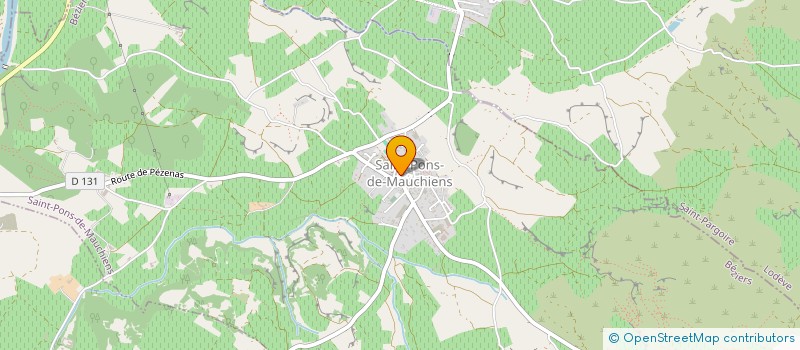 localisation de l'entreprise RUE DU ROC  SAINT-PONS-DE-MAUCHIENS