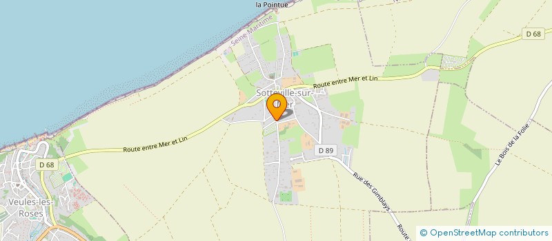 localisation de l'entreprise RUE JEAN ANTHEAUME  SOTTEVILLE-SUR-MER