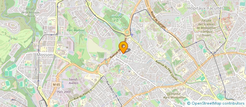 localisation de l'entreprise RUIZ INVESTISSEMENT  MONTPELLIER