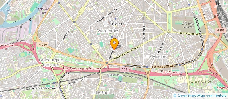localisation de l'entreprise RUMINALIS à LILLE