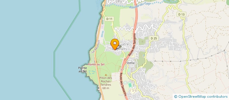 localisation de l'entreprise RUN BOSC CONSEIL  SAINT-LEU