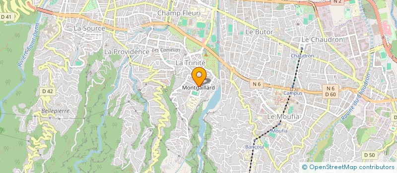 localisation de l'entreprise RUN DLD à SAINT-DENIS