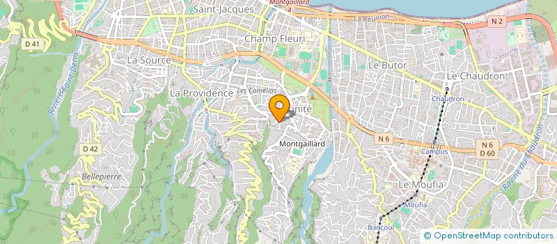 localisation de l'entreprise RUN PERF à SAINT-DENIS