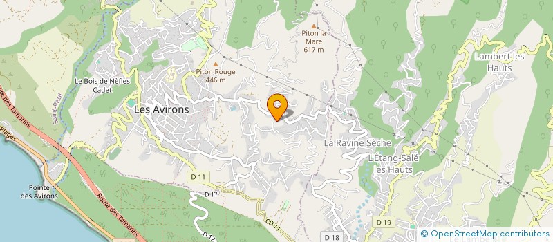 localisation de l'entreprise RUN PLAQUISTE  LES AVIRONS