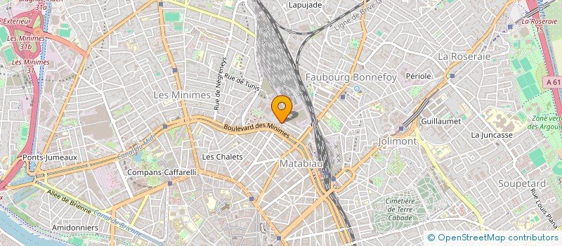 localisation de l'entreprise RUNIC IT  TOULOUSE