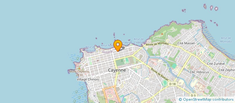 localisation de l'entreprise RURAL AMAZONIAN SAT SERVICES  CAYENNE