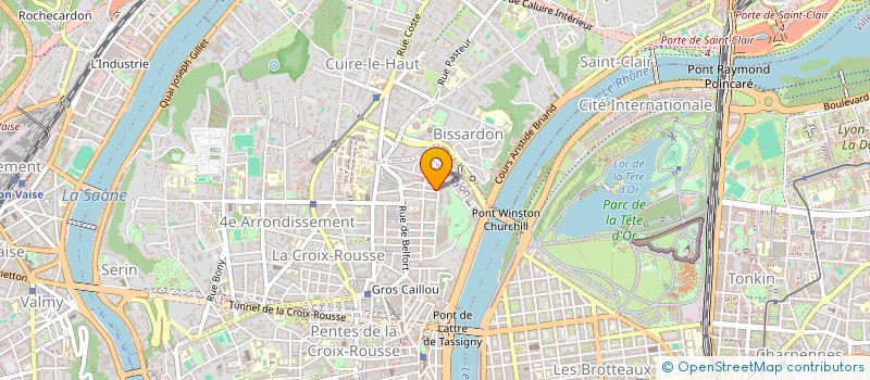 localisation de l'entreprise RUSH AI CONSULTING à LYON