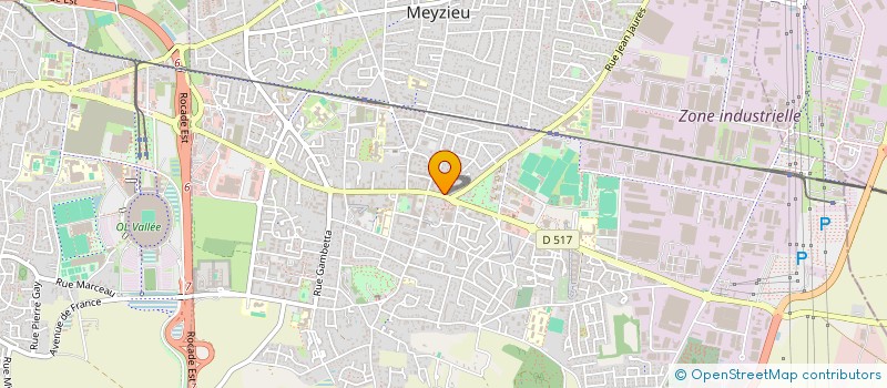 localisation de l'entreprise RZEPECKI  MEYZIEU