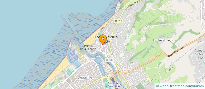 localisation de l'entreprise S.A.S BISTROT MARCELE à TROUVILLE-SUR-MER