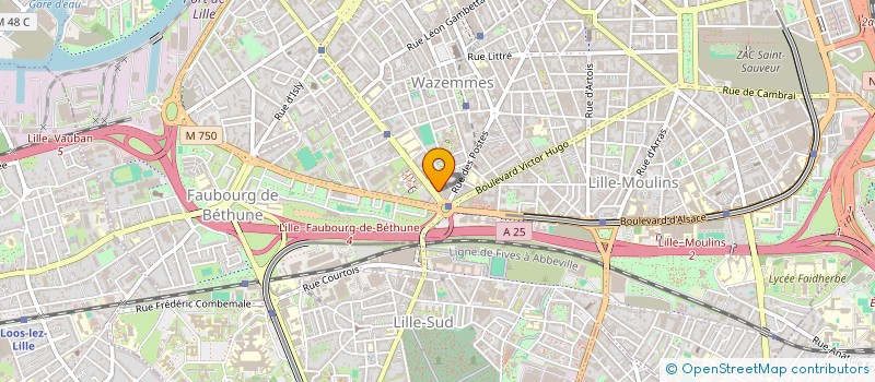 localisation de l'entreprise S.A.S PAPICHA à LILLE