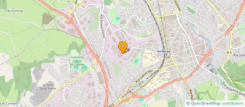 localisation de l'entreprise S.A.S.U LILI  SAINT-ETIENNE