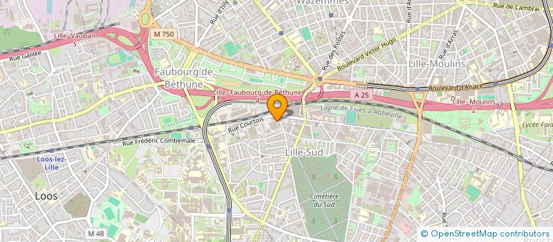 localisation de l'entreprise S.A.S.U. NARGUISHOP ON LINE à LILLE