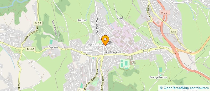 localisation de l'entreprise S C COIFFURE  ROCHE-LA-MOLIERE