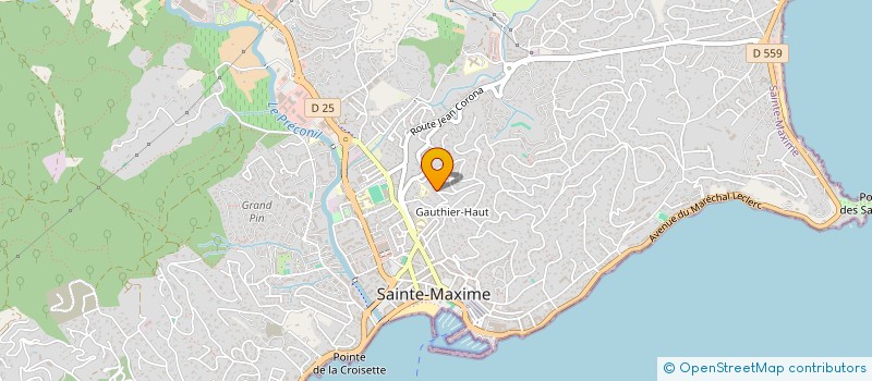 localisation de l'entreprise S C ELIZABE à SAINTE-MAXIME