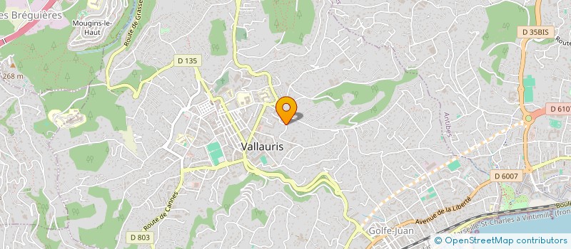 localisation de l'entreprise S.C.I BIENVEILLANCE à VALLAURIS