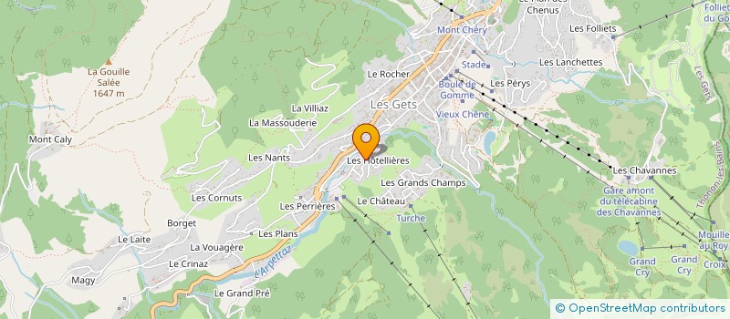 localisation de l'entreprise S.C.I. LES MARMOTTES  LES GETS