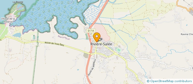 localisation de l'entreprise S.D.N.H. à RIVIERE-SALEE