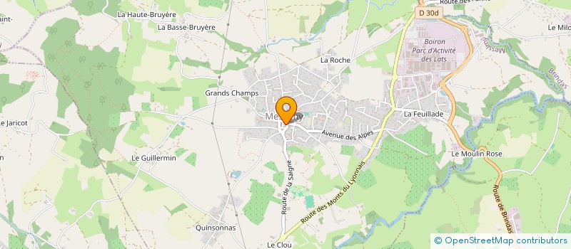 localisation de l'entreprise S&F  LYON