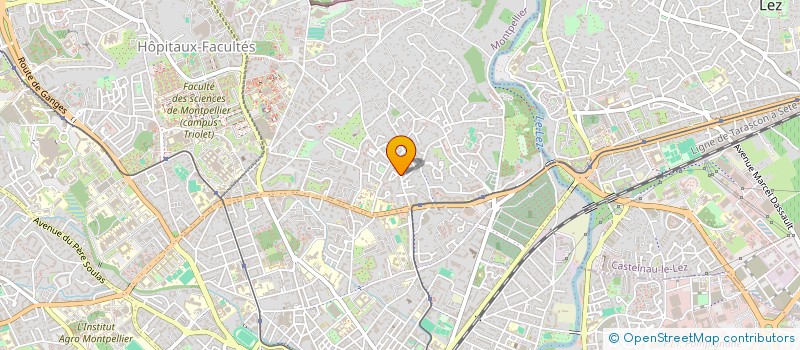 localisation de l'entreprise S TRANSP'OR à MONTPELLIER