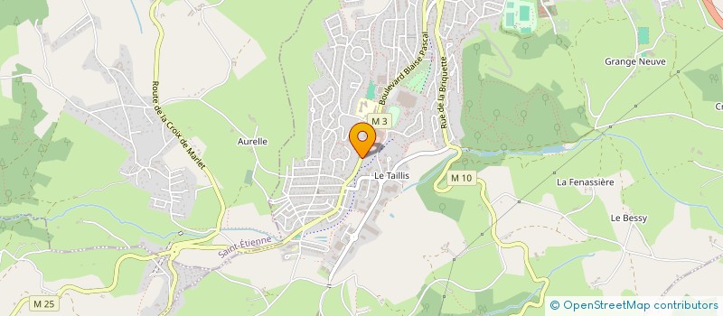 localisation de l'entreprise S.W.  ROCHE-LA-MOLIERE