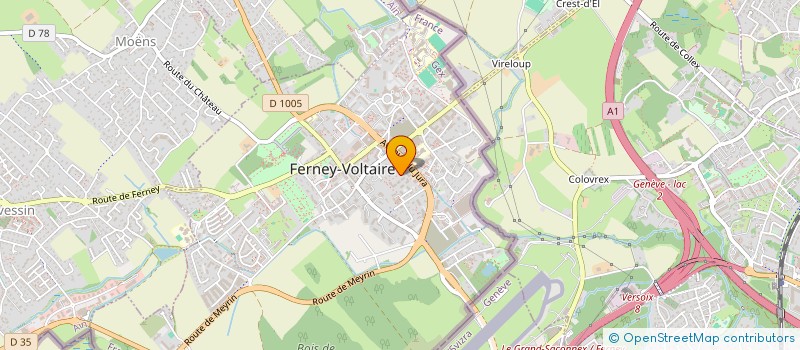 localisation de l'entreprise S2A TAXI à FERNEY-VOLTAIRE