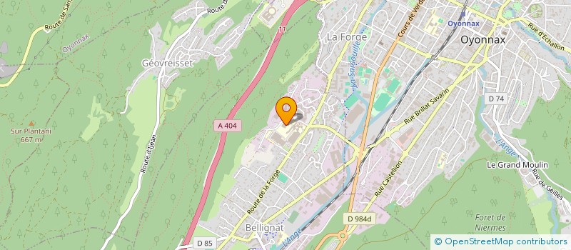 localisation de l'entreprise S2P  BELLIGNAT