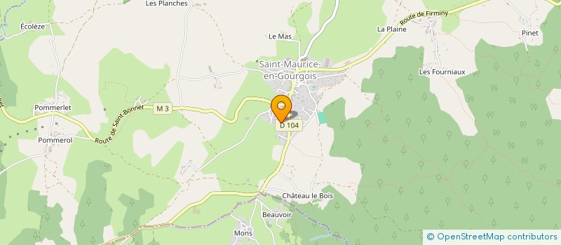 localisation de l'entreprise S2RC IMMO  SAINT-MAURICE-EN-GOURGOIS