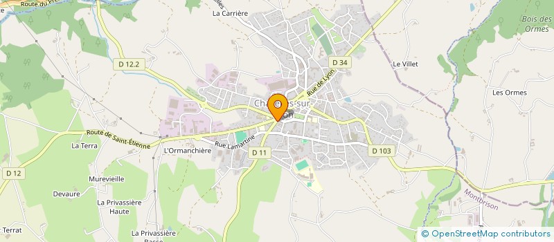 localisation de l'entreprise SA LA FLECHE BLEUE à CHAZELLES-SUR-LYON