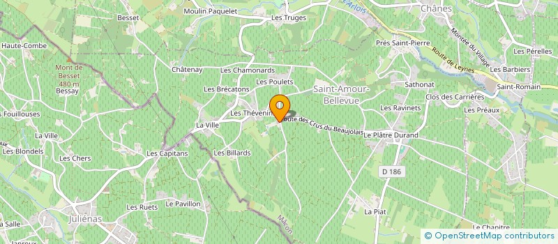 localisation de l'entreprise SABE  SAINT-AMOUR-BELLEVUE