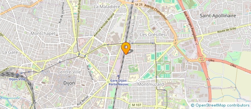 localisation de l'entreprise SACHA'S PAWSITIVE IMPACT  DIJON