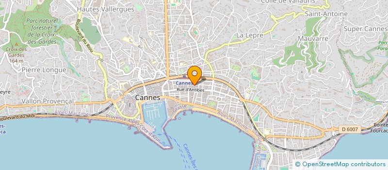 localisation de l'entreprise SADDLE GROUP  CANNES