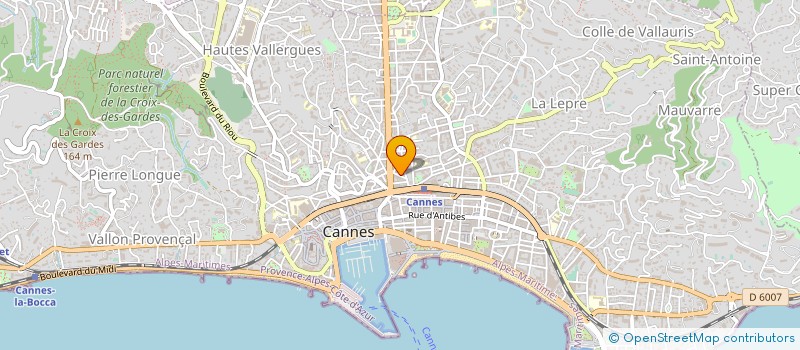 localisation de l'entreprise SAER à CANNES