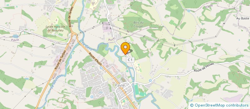 localisation de l'entreprise SAEZ BATIMENT  PAVIE