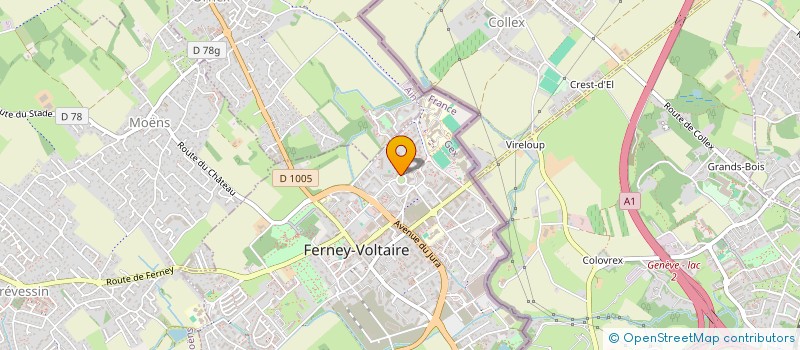 localisation de l'entreprise SAFE INVEST FRANCE  FERNEY-VOLTAIRE