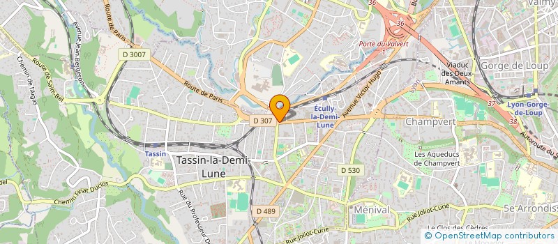 localisation de l'entreprise SAFOR à TASSIN-LA-DEMI-LUNE