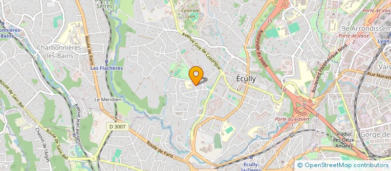 localisation de l'entreprise SAGA  ECULLY