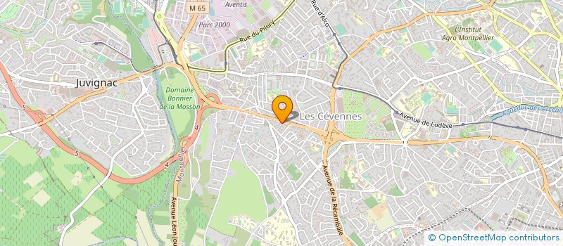 localisation de l'entreprise SAHIN NIHAT à JACOU