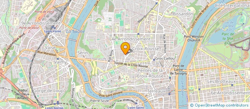 localisation de l'entreprise SAINGALL SA  LYON