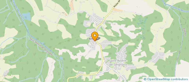 localisation de l'entreprise SAINT ANDRE MASSAGES YOGA  SAINT-ANDRE-DE-SEIGNANX