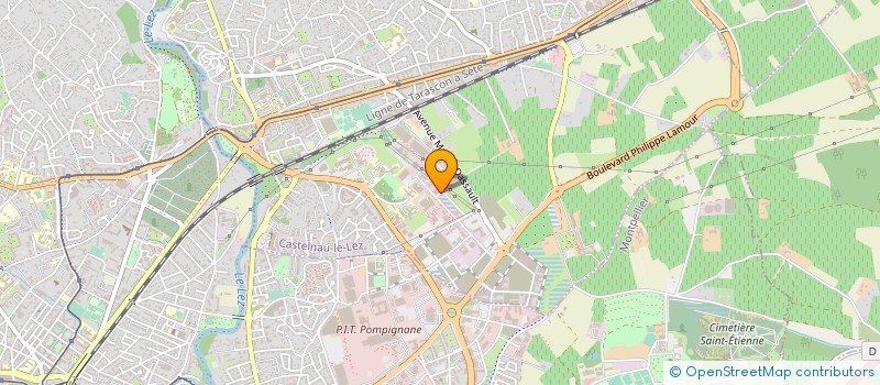 localisation de l'entreprise SAINT AVOLD DIFFUSION à CASTELNAU-LE-LEZ