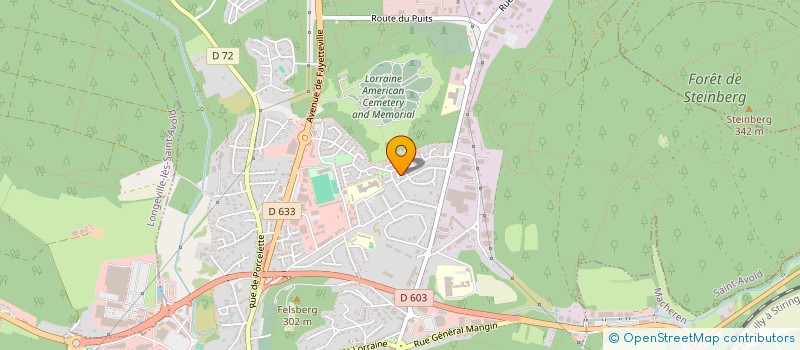 localisation de l'entreprise SAINT EVA  SAINT-AVOLD