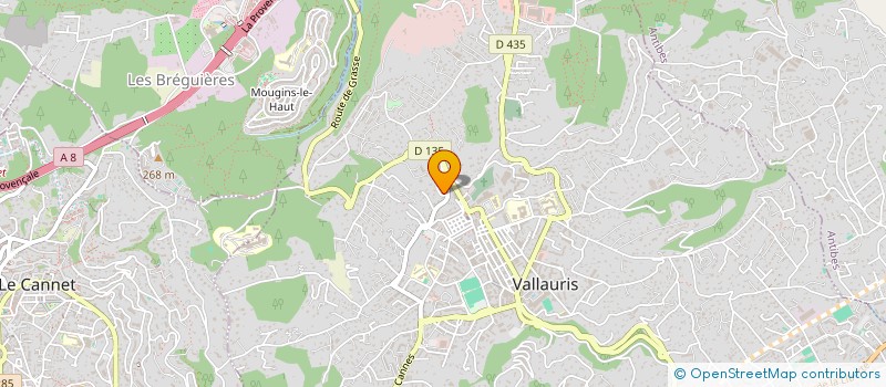 localisation de l'entreprise SAINT FEREOL à VALLAURIS