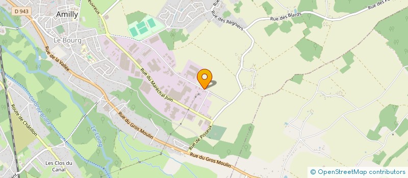 localisation de l'entreprise SAINT-GABRIEL  AMILLY