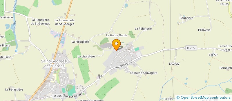 localisation de l'entreprise SAINT GEORGES DE FRANCE 2018  CHEMILLE-EN-ANJOU