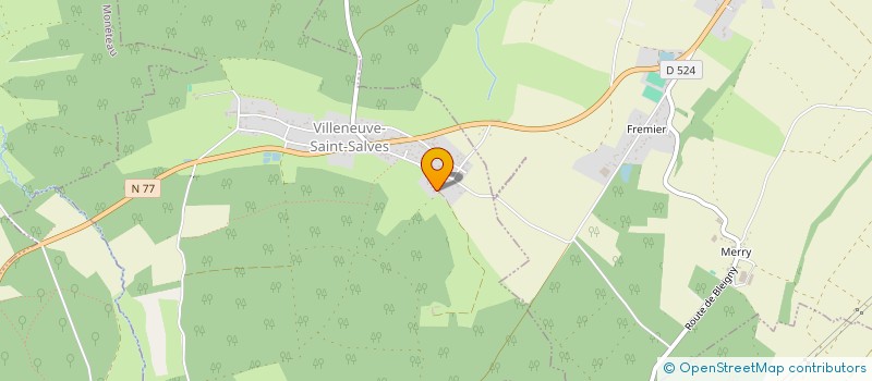 localisation de l'entreprise SAINT GERMAIN 89  VILLENEUVE-SAINT-SALVES