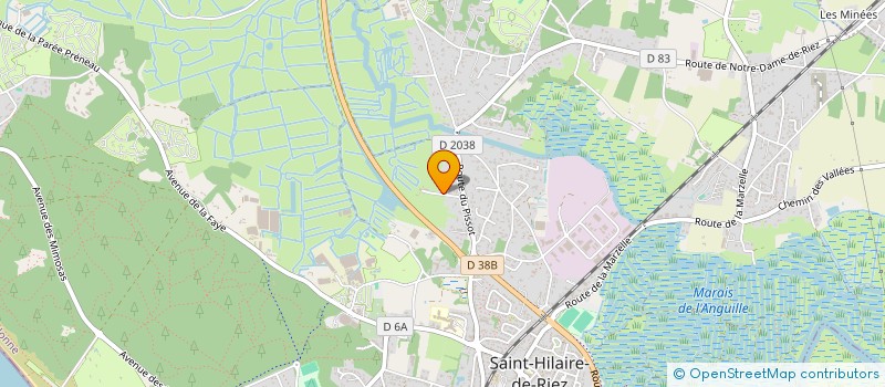 localisation de l'entreprise SAINT HILAIRE FUTSAL LOISIR (SHFL) à SAINT-HILAIRE-DE-RIEZ
